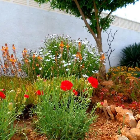 Linda * Calpe